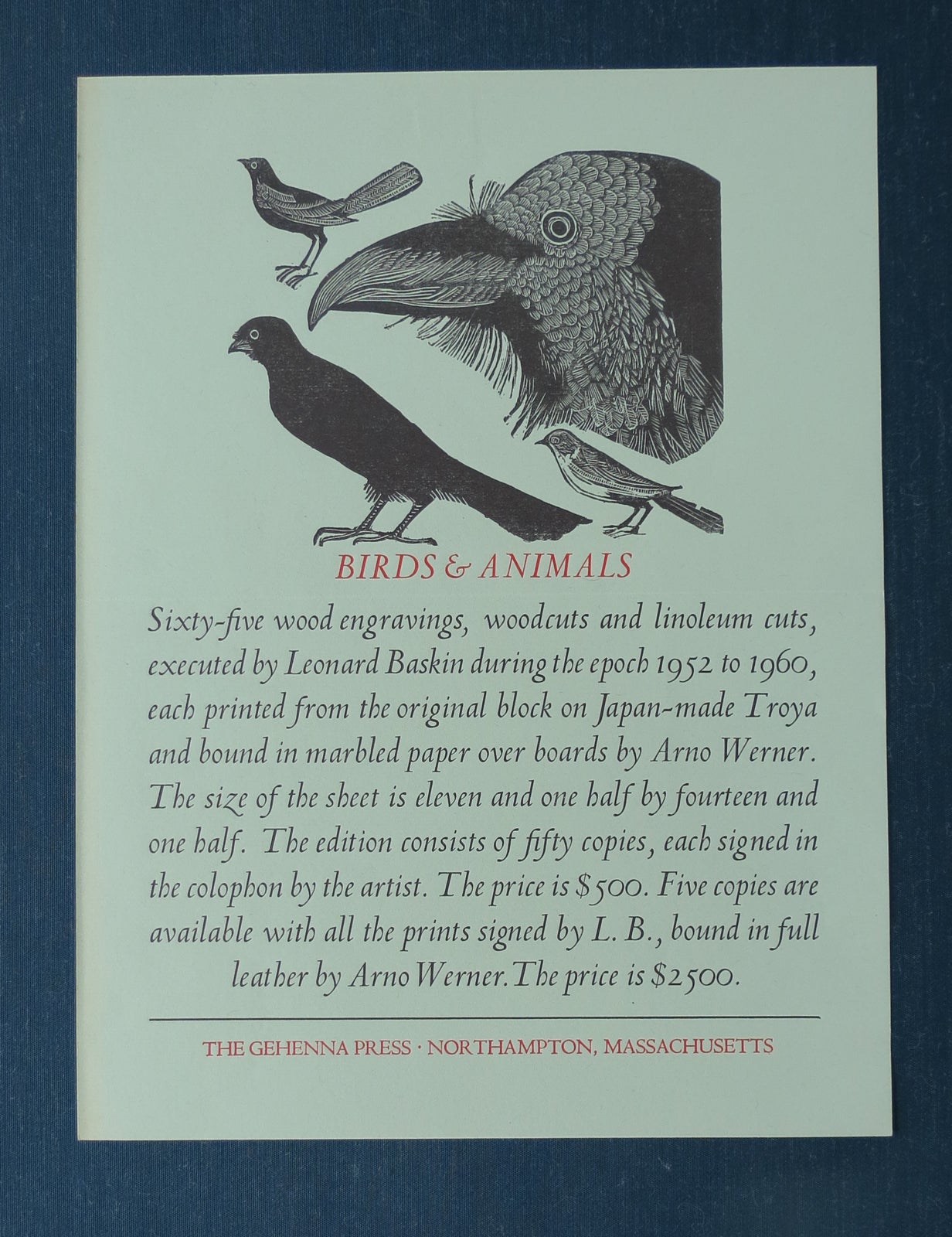 Birds & Animals.